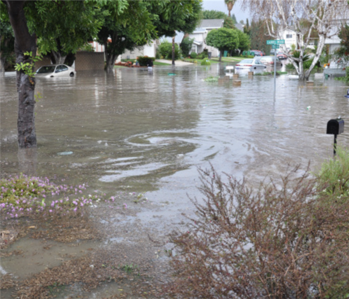 Flood in Laguna Hills Canyon